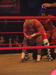 Young performing a camel clutch on Brother Devon