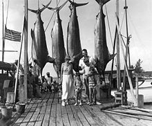 Ernest, Pauline, Bumby, Patrick, and Gregory Hemingway pose with marlins after a fishing trip to Bimini in 1935