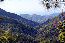 The thickly forested mountain range of the Sierra Maestra, from where Castro and his revolutionaries led guerrilla attacks against Batista’s forces for two years. Castro biographer Robert E. Quirk noted that there was "no better place to hide" in all the island.[92]