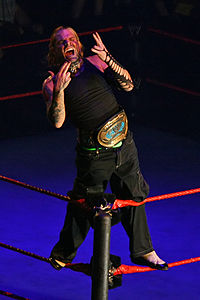 Jeff Hardy as the WWE Intercontinental Champion
