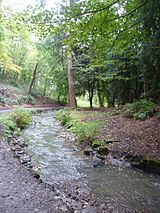 Pittencrieff Park, Dunfermline