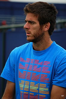 Juan Martín del Potro