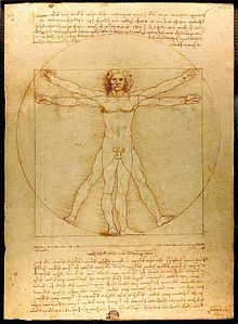 The Vitruvian Man (c. 1485) Accademia, Venice