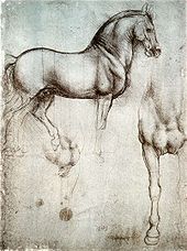 Study of horse from Leonardo's journals – Royal Library, Windsor Castle