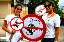 Zelaya's stetson hat and mustaches were easily recognizable in Anti-Zelaya demonstrators' signs.