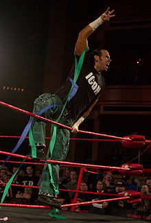 Matt Hardy ROH