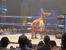 James preparing to perform a Mickie–DT on Angelina Love.