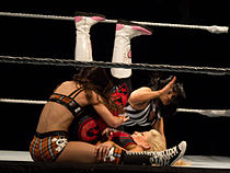 Natalya in action against AJ at a live house show.