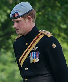 Prince Harry wearing his medals, 9 May 2013