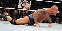 Orton in another signature pose; he does this prior to hitting his RKO finisher