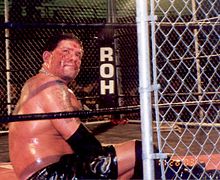 Raven inside a steel cage at a Ring of Honor show.