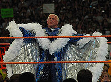 Ric Flair at WrestleMania XXIV