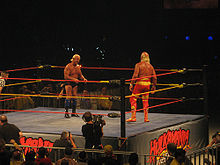 The Main Event of Hulkmania Tour in 2009, Ric Flair vs. Hulk Hogan.