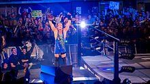 Rob Van Dam as TNA X Division Champion