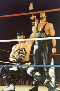 Diesel acted as Michaels's on-air bodyguard and tag team partner for two championship reigns.