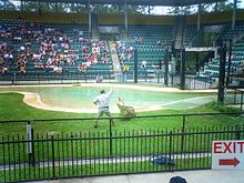 The "Crocoseum" at Australia Zoo, where Steve Irwin's memorial service was held.