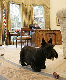 Barney at play in the Oval Office.