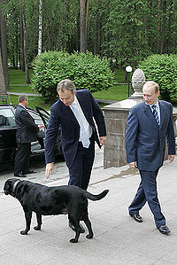 Putin, Koni and British Prime Minister Tony Blair in 2005