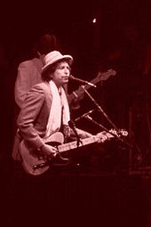 Dylan touring in the Netherlands, in 1984