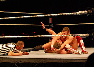 Bryan performing the LeBell Lock on Ted DiBiase.