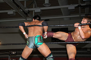 Danielson executing a roundhouse kick to the chest of Munenori Sawa.