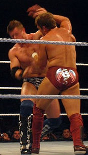 Bryan (right) wrestling his former NXT mentor, The Miz.
