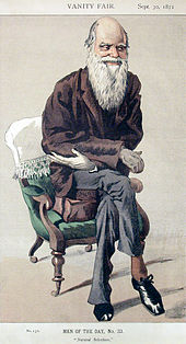 Caricature from 1871 Vanity Fair