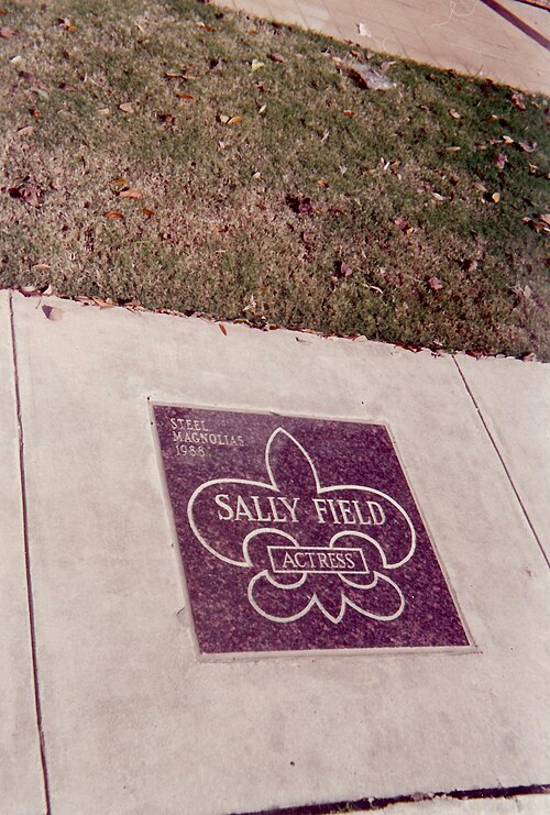 Sally Field