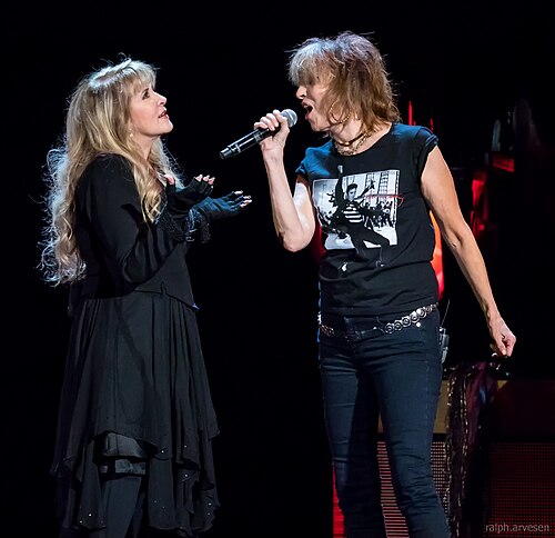Stevie Nicks