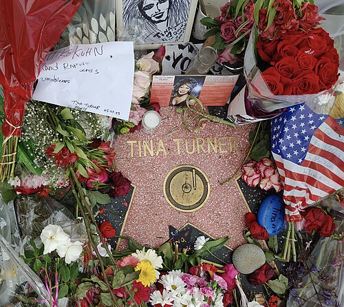 Tina Turner
