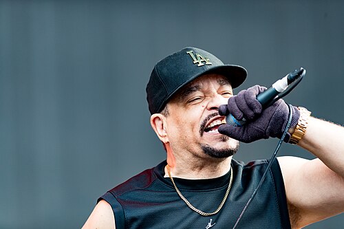 Ice-T