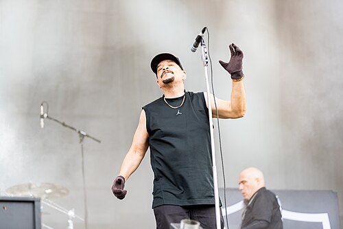 Ice-T