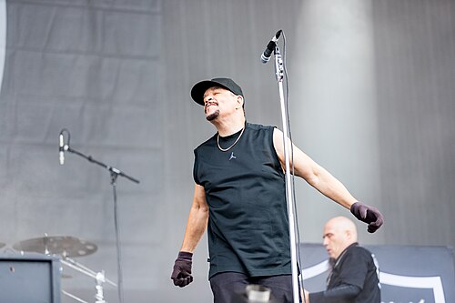 Ice-T