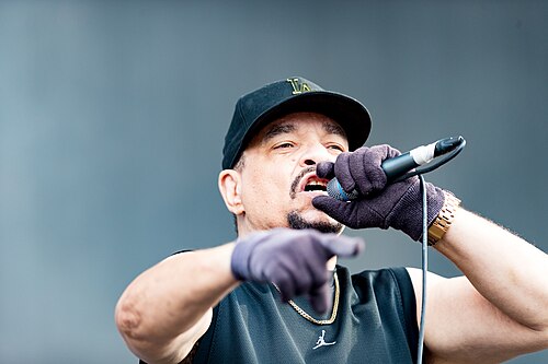 Ice-T