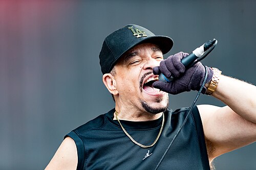 Ice-T
